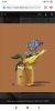 Screenshot_2020-06-12-22-44-56-309_com.android.chrome.thumb.jpg.ad3e1e729c376731fa5ec41e0ee032ef.jpg