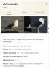 Screenshot_20200609-143725_Chrome.jpg