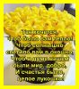 _CB7cBq9dRk.thumb.jpg.b05d78b691d60d9359f30b8090220b1e.jpg