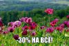 cfXOrNTLnug.thumb.jpg.13807eb79b62a47aea70ace59d5173ea.jpg