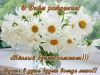 image.thumb.jpg.3a8de584da72487b41c09dcd301efebf.jpg