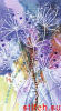 image.thumb.png.7a1e1461e9c549035ad63c420a5a132e.png