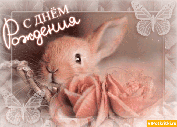orig.thumb.gif.987cc8ac05809c12dc91fb3ff9db8944.gif