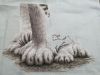 1.thumb.jpg.3c90e8dacaec080ac2610d33f8a6c6e8.jpg