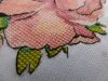 11.thumb.JPG.a43c9c11bff1bd74a014b83728c12377.JPG