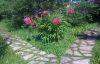 1173957712_2012128(2).thumb.jpg.2c155207f0631506fc985d0071eab252.jpg