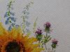 129534207_9.thumb.JPG.fd41e0c7d2c584e241030ebfad8ae1e4.JPG