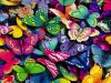 1494530992_colourful-butterflies.jpg.5d006b940689046513da354e3c51d80c1.thumb.jpg.39e0d08419668f5b8188325357aca9f8.jpg