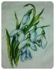 1507604976_.jpeg.bb59659e539cd1e7622080570621c37d.thumb.jpeg.2a3bd0c3bc883aaf30b3eeb4ced63093.jpeg