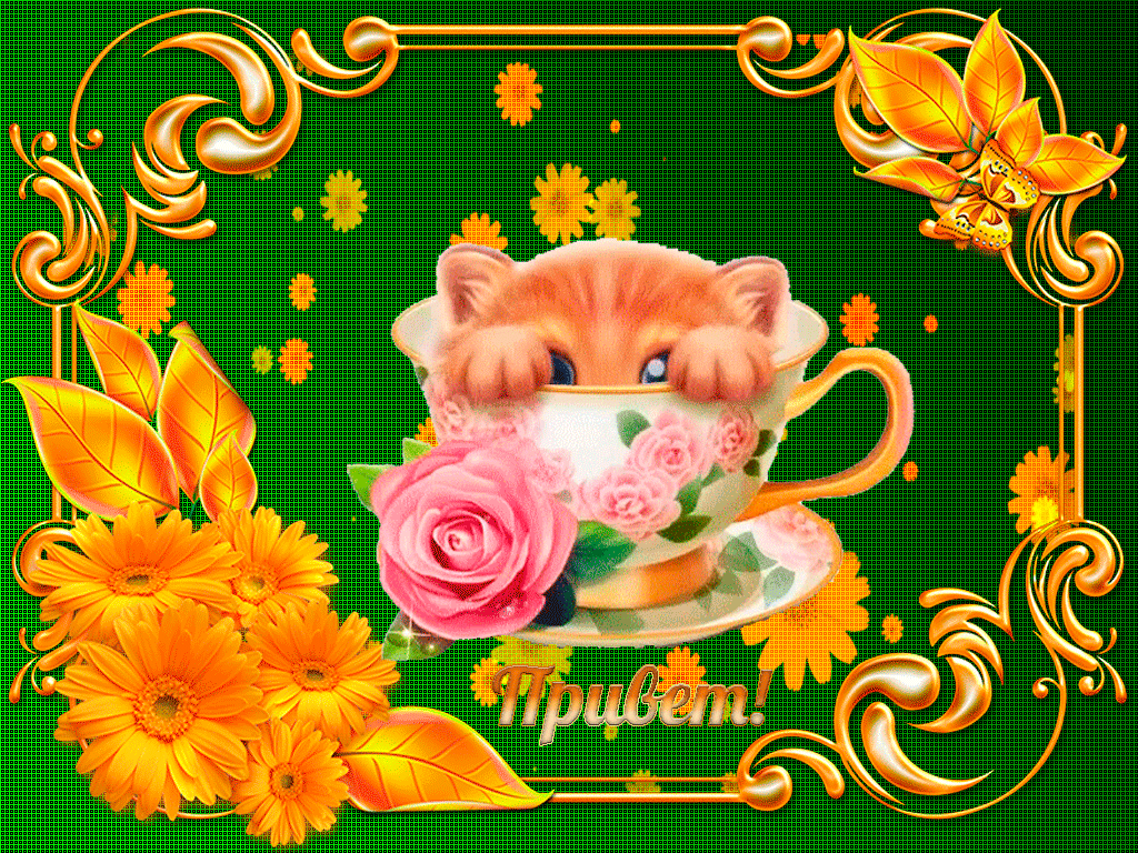 1595185420981.thumb.gif.44d664b74e28ec4c1dde60b763ab41d2.gif