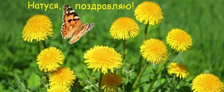 18cb4412b3fd96d4c2c15944894f7ea5_XL.jpg.097a0d8aeb614daf8a75c5e1a39ff086.jpg