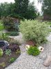20200610_105852.jpg