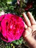 20200621_163348.jpg