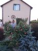 20200625_210716.jpg
