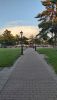 20200701_203340.thumb.jpg.f888739bcf7d9aa8dc8ffc74017b3c8b.jpg