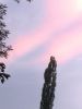 20200703_205552.thumb.jpg.7cf5d8dd105f4a91c599c3d3d049d1ff.jpg