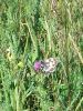 20200716_084041.thumb.jpg.0b2a107f83253c805adb135b8f61e75c.jpg