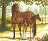 Lanarte 34888, Лошади (Кобыла и жеребенок, Mare and Foal), ПОДБОР