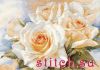 30178.thumb.jpg.35eef3f3c4134b1cb2fc14afeddfeea4.jpg