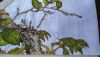 6.thumb.jpg.a7c1d2dd15090db8031aece8daa6a2b0.jpg