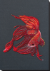 AB-754.png