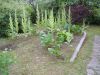 DSC03773.thumb.JPG.0ee4ed351c7d44f4c0318d2b9348559f.JPG
