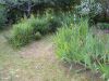 DSC03775.thumb.JPG.624cc46be1a224c142dde6396c418bf2.JPG