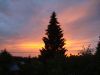 DSC03793.thumb.JPG.9ce46d9ef1d75c098012963eee2951da.JPG