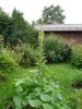 DSC03823.thumb.JPG.3394fc8b46e9fa889e36243c38cd57f6.JPG