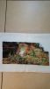 DSC_0208.thumb.JPG.0245175b43191f249962e01be67c2f31.JPG