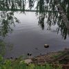 IMG-20200704-WA0008.thumb.jpg.69aaa4fbe16ef4b8fd8840c8de586a39.jpg