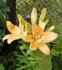 IMG-20200705-WA0011.thumb.jpg.93dbd0cf2d0b18aace495cf6ea554c47.jpg