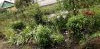 IMG-20200711-WA0010.thumb.jpeg.7e26491296f5c5efbbf399bda2e218d2.jpeg?1594481189239