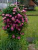 IMG-20200713-WA0049.thumb.jpg.4efd920f80d1b2965a4c7d65ddbe24d0.jpg
