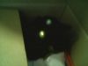 IMG0096A.thumb.jpg.1c99749b378fc0f2ef501a1762de57f4.jpg