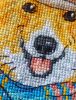 IMG_20200424_180103.jpg