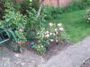 IMG_20200624_210228.jpg