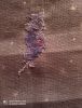 IMG_20200624_233554.jpg