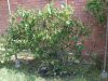 IMG_20200626_091531.jpg
