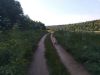 IMG_20200711_182509.thumb.jpg.14927f12d9082a356c42942864a61e1a.jpg