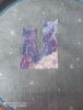 IMG_20200713_183833.jpg