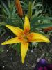 IMG_20200714_102449.thumb.jpg.8197ef2d251eb60e168482bb8768fac0.jpg
