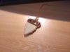 IMG_20200714_113453.thumb.jpg.97479c3ca0e5a76cb95f81a6fda20a24.jpg