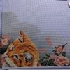 IMG_20200714_224056.thumb.jpg.818c199a09f9f76811a2be9206c46d44.jpg