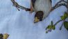 IMG_20200717_075543.thumb.jpg.25add65234c243c6bdab073df3c9c2a0.jpg