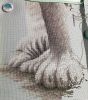 IMG_20200718_204350.jpg
