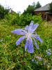IMG_20200720_154737.thumb.jpg.ba2905bb73cd53ef77a996c269d4254b.jpg