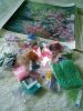 IMG_20200722_153527.jpg