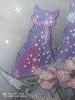 IMG_20200723_104937.jpg