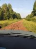 IMG_20200727_180140.thumb.jpg.3150394dac18212ee17bc3cce0b2bc67.jpg
